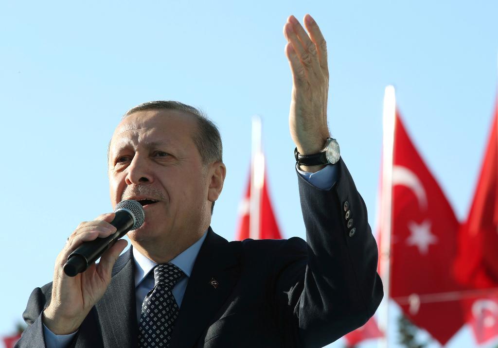 Turkiets president Recep Tayyip Erdogan på ett möte i Sanliurfa på fredagen. Utrensningarna fortsätter i landet. (Foto: Yasin Bulbul/AP/TT)