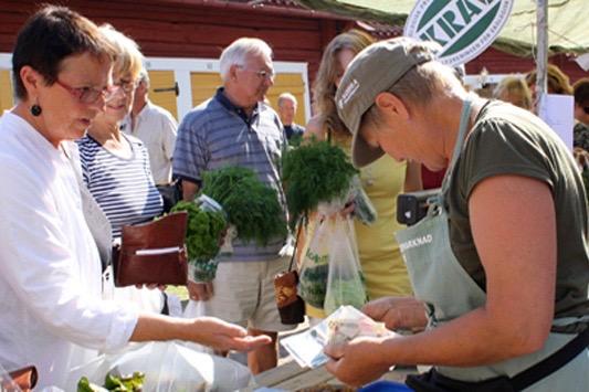 Margaretha och Stefan Olofsson odlar ekologiskt i Lövsele, i Västerbotten. Sina grönsaker säljer de bland annat på marknader i trakten. (Foto: Privat)