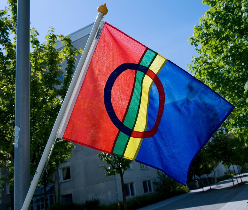Förslaget om en nordisk samekonvention får skarp kritik från flera samiska organisationer. Arkivbild. (Foto: Jonas Ekströmer/ TT)