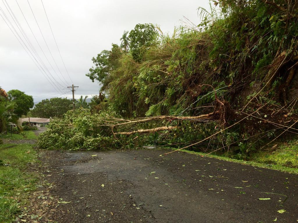 Cyklonen Winston har drabbat Fiji hårt. Vissa områden har ännu inte kunnat nås på grund av att träd knäckts över vägar och telefonledningar. (Foto: Alice Clements /Unicef/TT)