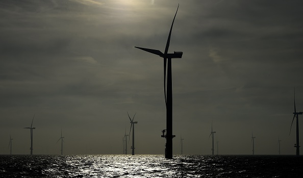 Vindkraft till havs verkar ha en gynnsam effekt på vattenlivet. Enligt energimyndigheten finns det idag 313 riksintresseområden för vindbruk, varav 284 områden på land och 29 till havs och i insjöar. (Foto: Tobias Schwartz/AFP/Getty Images