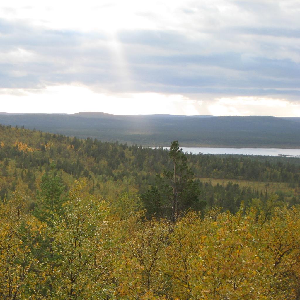 En av världsarvspunkterna finns på berget Tynnyrilaki, sydost om Karesouando. Det betyder tunnhjässa och namnet kommer från att man under mätningarna ibland satte tunnor upp i stänger på bergen och som man sedan riktade instrumenten mot för att se dem. (Foto: Dan Norin/Pressbild)
