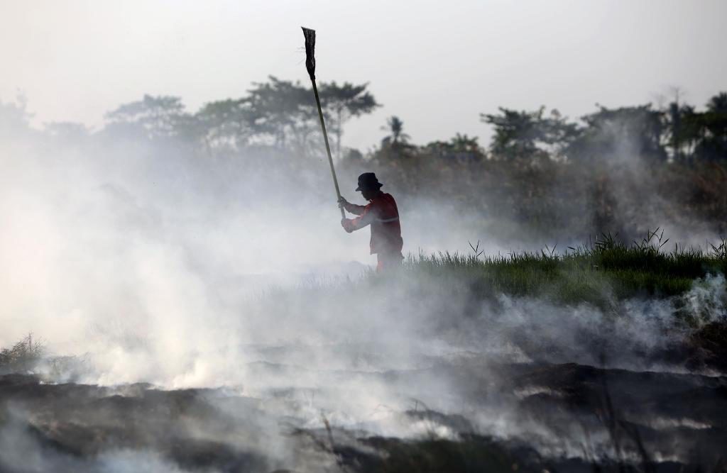 En brandman bekämpar en torvbrand på södra Sumatra i juli i fjol. 2015 års bränder var de värsta på länge. (Foto: AP/TT-arkivbild)
