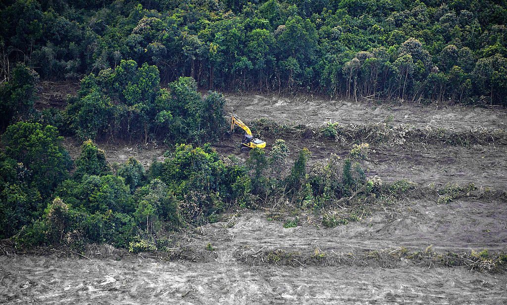 Ett annat flygfotouppdrag av Greenpeace visar tydligt förstörelsen. (Foto: Bay Ismoyo/AFP/Getty Images)