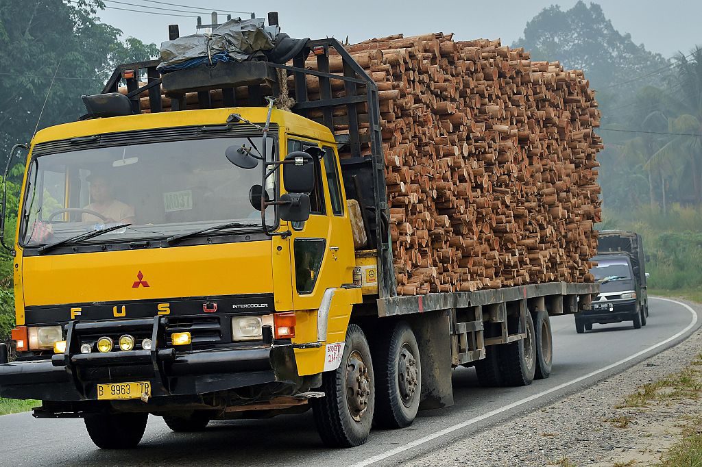 Lastbilen transporterar acaciatimmer som ska bli pappersmassa. Från Pelalawan, Riau-provinsen, på den indonesiska ön Sumatra. (Foto: Adek Berry /AFP/Getty Images)