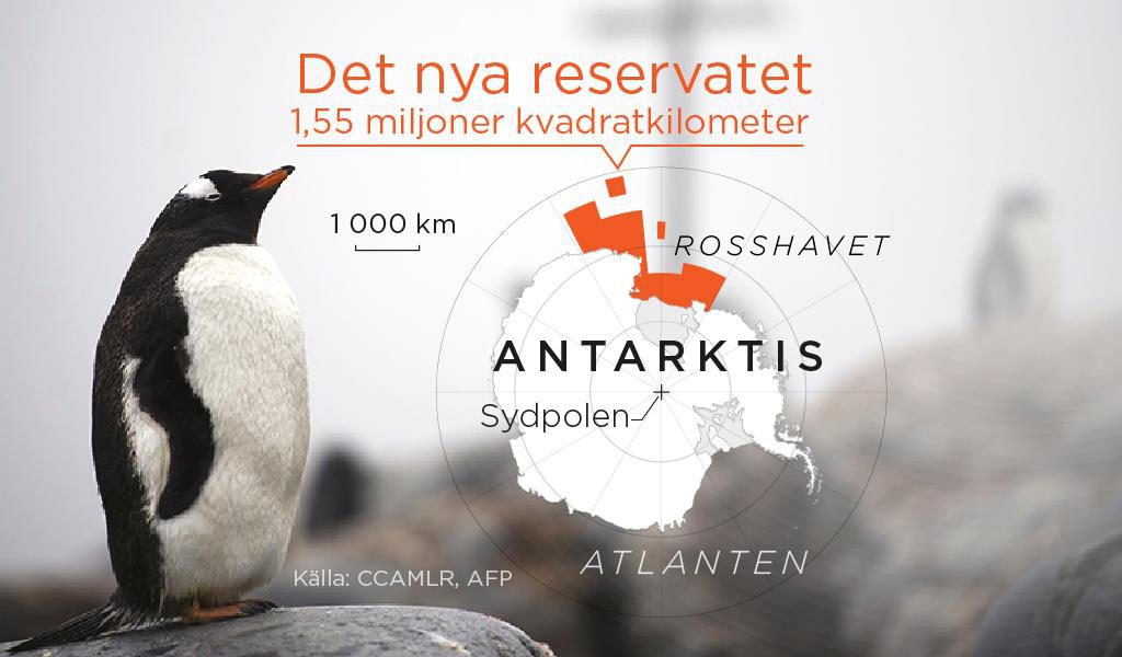 Naturreservatet är tre gånger så stort som Sverige. (TT)