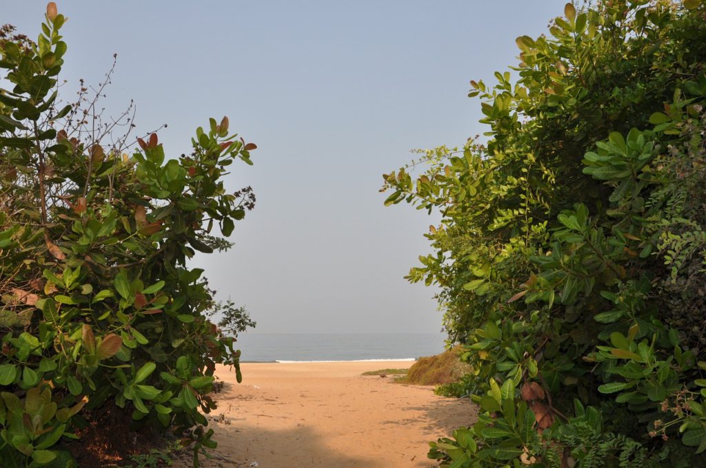 Vägen till stranden i Goa, Indien. (Foto: Pixabay)
