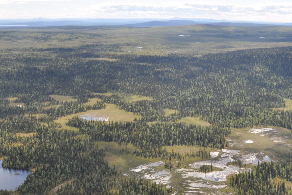 Flygbild över det nästan 5 kvadratmil stora Jelka Rimakåbbå. Här bildades Steget Före 1986 och är vår största skog. Trots skydd som Natura 2000 hotas området idag av gruvnäringen. (Foto: Mats Karström)