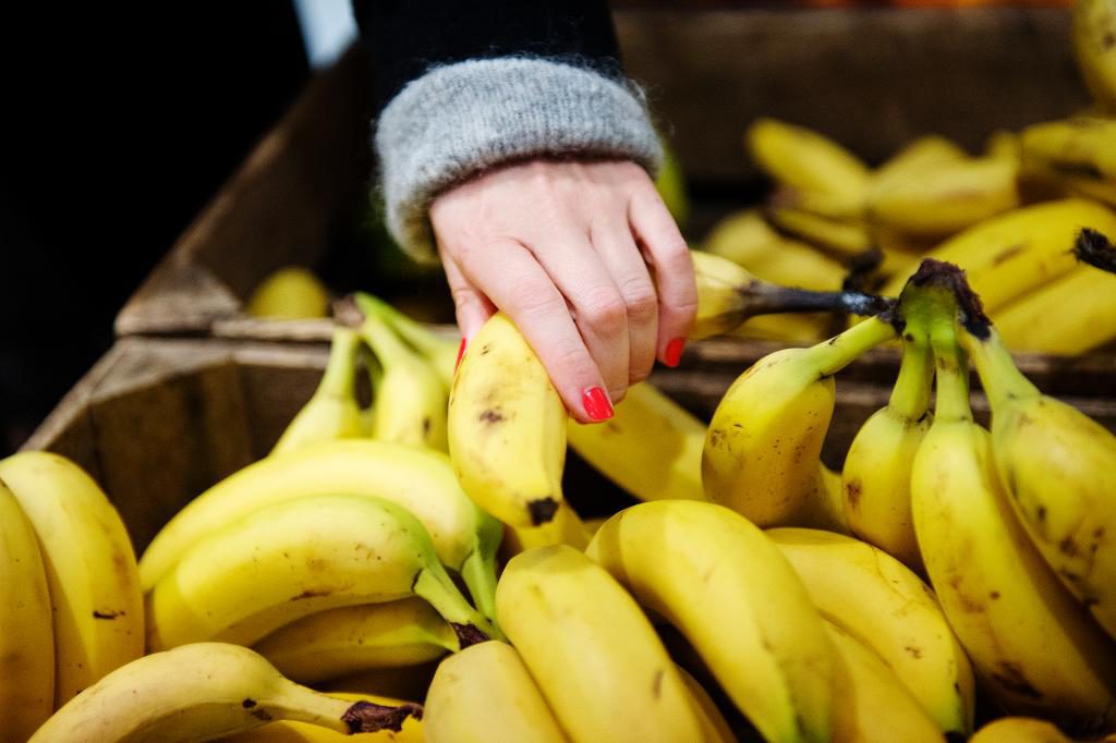 Ekologiska bananer är en storsäljare och tar tredjeplatsen bland de mest sålda ekoprodukterna. (Foto: Izabelle Nordfjell / TT)