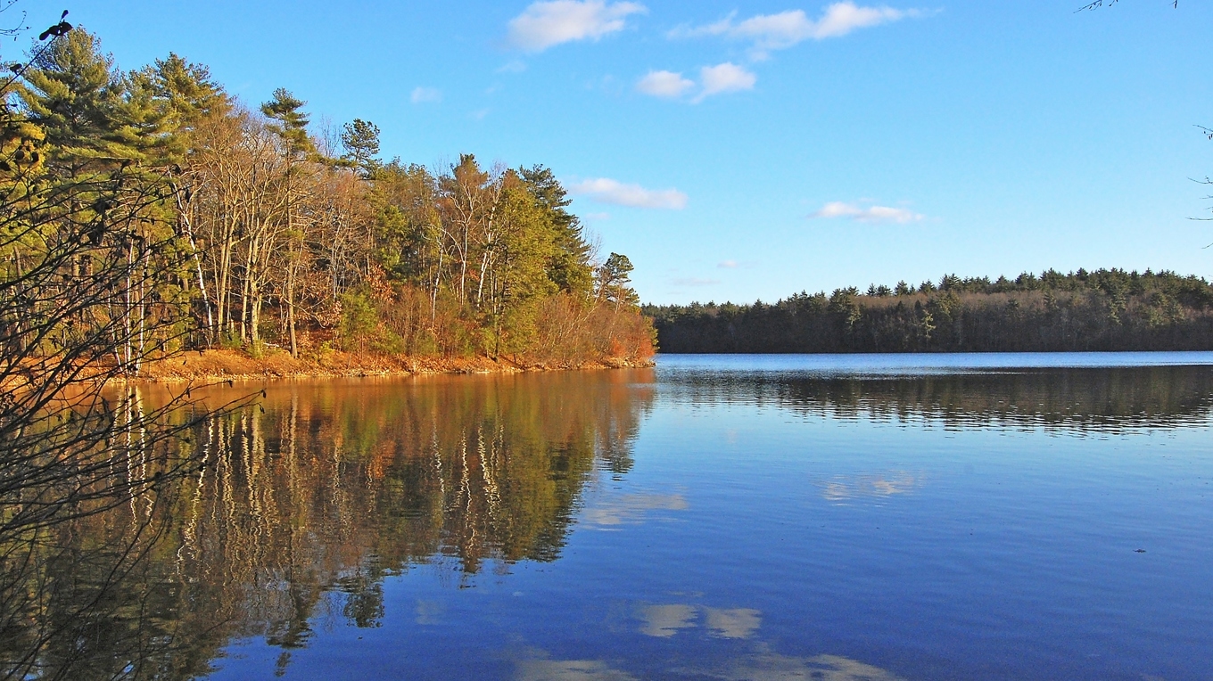 Walden Pond, Massachusetts. Foto: Public Domain
