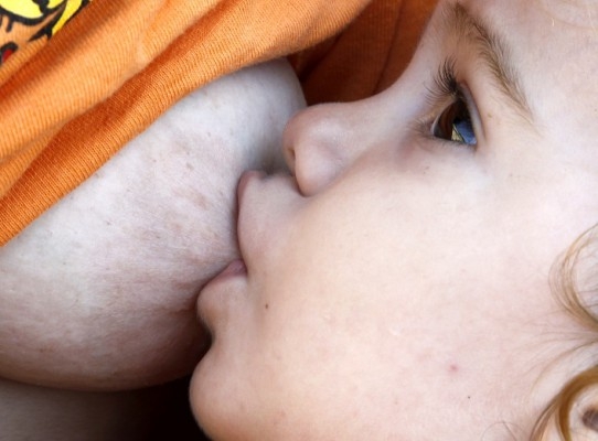 Lactobacillus reuteri förekommer naturligt i bröstmjölk. Bakterien hjälper barnets tarmsystem att mogna och immunsförsvaret att utvecklas och minskar risken för allergier. (Foto: Jaime Reina/AFP PHOTO)  