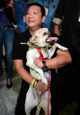 Veterinären Anton Lim bär Kabang när de anlände till flygplatsen i Manila den 8 juni. Efter behandling på universitetsdjursjukhus i USA där hundens ansikte rekonstruerats. Olyckan hände när Kabang räddade två flickor från att bli överkörda av en motorcykel. (Foto: Ted Aljibe / AFP)