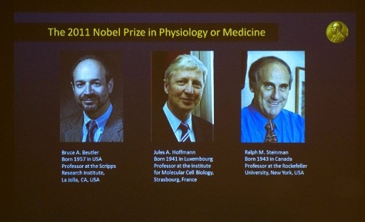 Bilden är tagen från Karolinska Institutets tv-utsändning där 2011års Nobelpristagare i medicin  avslöjades. Från vänster syns Bruce Beutler, USA, Jules Hoffmann, Luxembourg och Ralph Steinman, Kanada. (Foto: Jonathan Nackstrand / AFP)