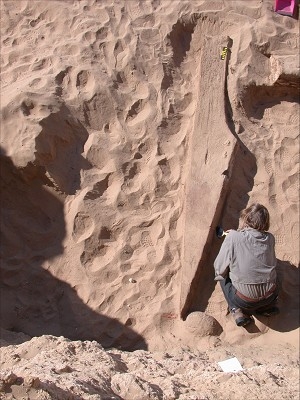 Lastlådor från Amenemhat den tredjes regeringstid täckte delvis denna 4 000 år gamla skeppsplanka som grävts fram i Wadi Gawasis vid Röda Havet i Egypten. (Foto Cherly Ward/Florida State University)
