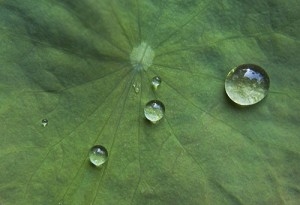 Med tanke på att våra kroppar består till största delen av vatten så behöver vi tänka på att få i oss vatten regelbundet under dagen. (Jarrod Hall/The Epoch Times)