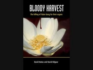 'Blodig skörd' är en noggrann redogörelse för sanna händelser och liknar mest en skräckhistoria. (Bild med tillstånd från Seraphim Editions) 