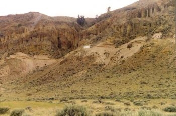 Det fossilrika McAbee-området i den kanadensiska provinsen Brittish Colombia håller på att förstöras av kommersiell fossiljakt. Fossilerna har bevarats från eocene-epoken: den tid då den moderna vetenskapen hävdar att de första däggdjuren och föregångare till moderna djur och växter uppkom. (Foto: Bruce Archibald)
