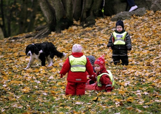 En ny studie  visar att barn som går i uteförskolor har högre nivåer av stresshormonet kortisol är barn som går i vanlig förskola. Bilden är tagen i ett annat sammanhang. (Foto: AFP/Sven Nackstrand)