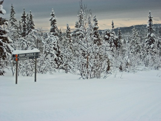 Det kan vara en lisa för själen att skida fram i den svenska fjällvärlden. Det kan också vara bra träning inför Vasaloppet. (Foto: Susanne Larsson)