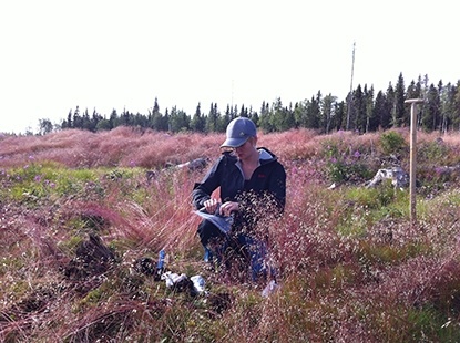 Hyggen i kuperad terräng har relativt sett större utförsel av metylkvicksilver än hyggen i flack terräng, visar Rose-Marie Kronberg i sin avhandling. (Foto Axel Bergsten)