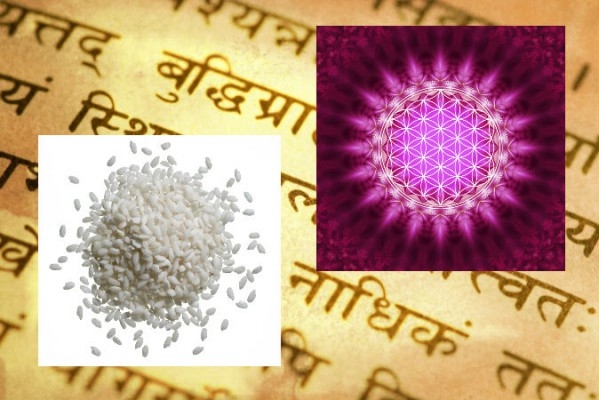 Foto av en text på sanskrit (Maxim Krasnov/Hemera/Thinkstock, effekter tillagda av Epoch Times); Ris (Shutterstock); Konceptuell bild av ”livets blomma” (Tschitscherin/iStock/Thinkstock)