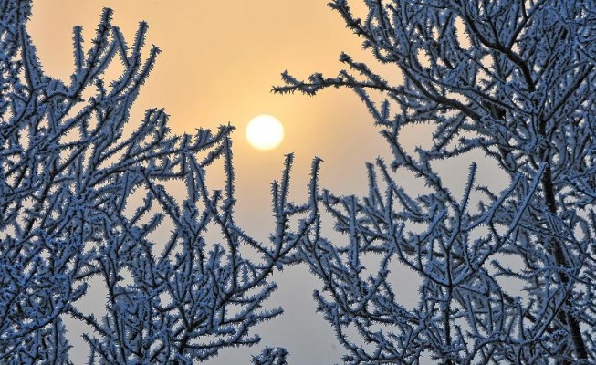 Snabba förändringar har styrt klimatet i norra Europa 
