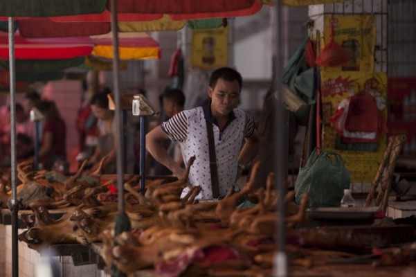 Slaktade hundar till salu på en marknad i Guangxiprovinsen i södra Kina den 17 juni 2015. Foto: STR/AFP/Getty Images

