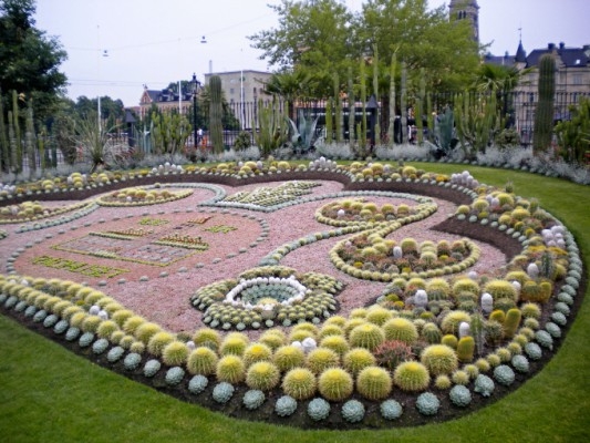 En minutiöst planerad, planterad och skött kaktusplantering finns i Norrköping. (Foton: Barbro Plogander / Epoch Times)
