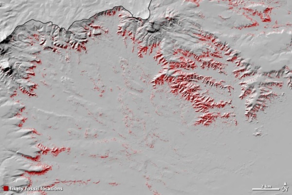 Platser där det sannolikt finns mycket fossil – indikerat av de röda markeringarna – i Great Divide Basin. (Bearbetad karta från Anemone et al., 2011, av Robert Simmon)