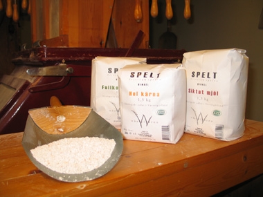 Dinkel kallas också ibland för spelt. (Foto: www.wastgotarna.se)

