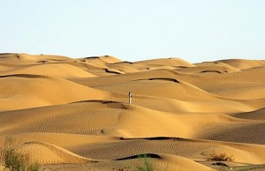 Taklamakanöknen i Kina är en av världens största rörliga sandöknar. Enligt den senaste forskningen utförd av kinesiska vetenskapsmän uppstod Taklamakan för minst 5,3 miljoner år sedan. (Foto: Guang Niu/Getty Images)
