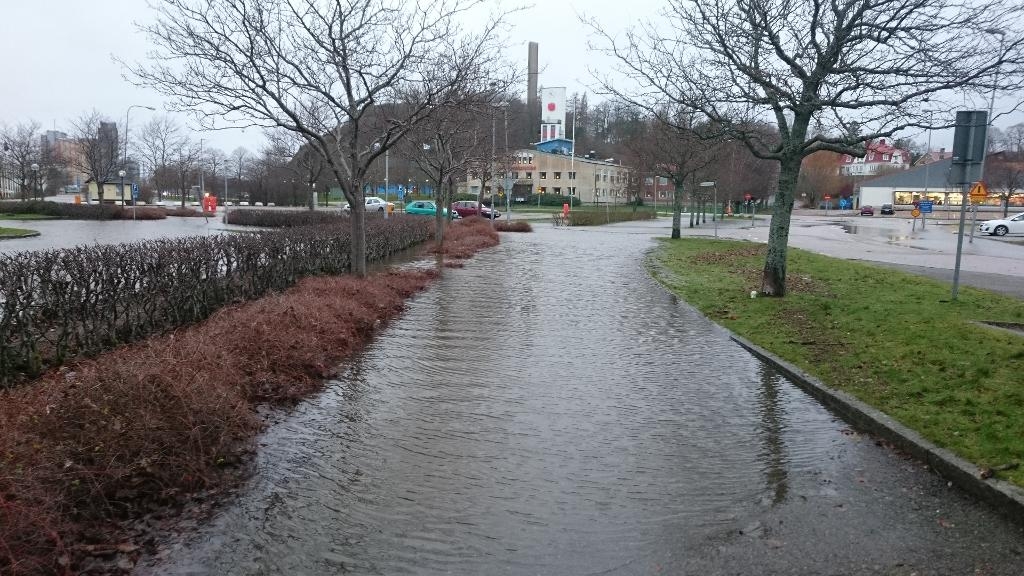 Det var höga vattenflöden i bland annat Uddevalla under gårdagen. Men natten har varit lugn, enligt räddningstjänsten Mitt Bohuslän. (Foto: Göran Sjögren /TT)