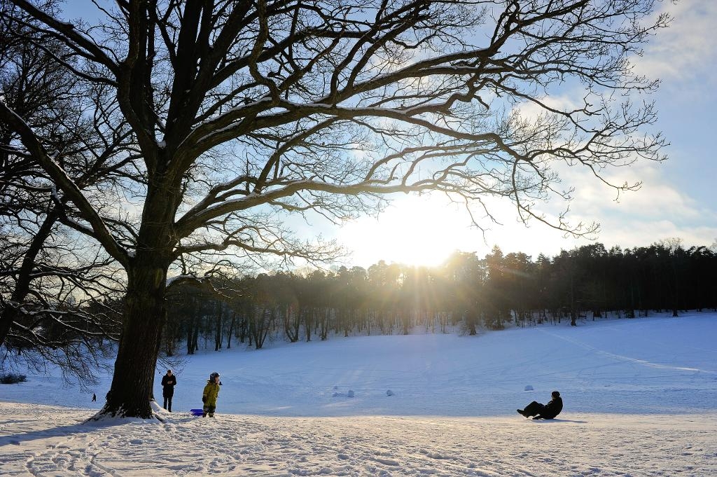 Det är riktigt kallt i landet för tillfället. På onsdagsmorgonen uppmättes minus 37,3 grader i Nikkaluokta. (Foto: Anders Wiklund/TT-arkivbild)