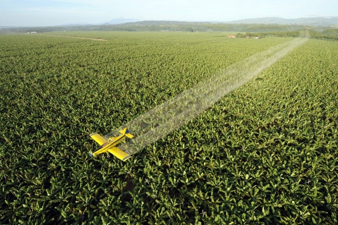 Ett flygplan besprutar med svampdödande medel över en bananodling på den filippinska ön Mindanao. Läkaren och hälsokonsulten César Chelala menar att det inte är säkert att de många fallen av mikrocefali är kopplat till zikaviruset. Giftiga bekämpningsmedel kan vara boven. (Foto: Romeo Gacad /AFP/Getty Images)