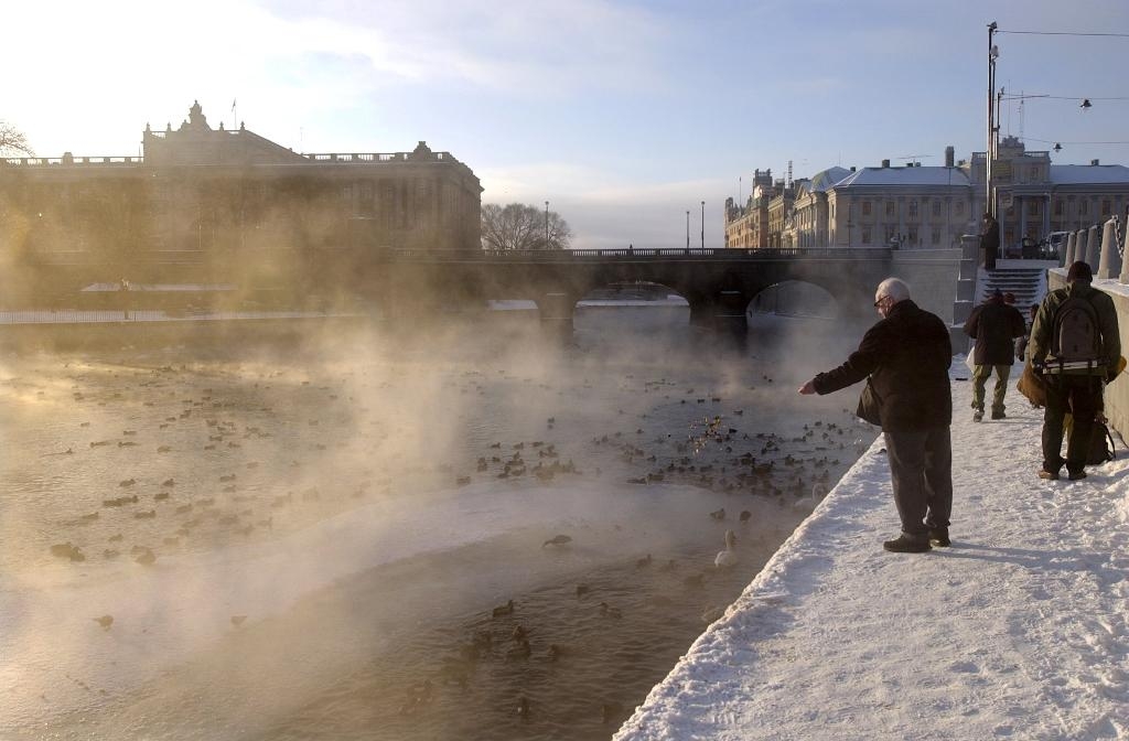 Fåglar som bor i staden var bland annat bättre på problemlösning än fåglar på landsbygden, visar en studie gjord på bahamasfinkar. (Foto: Leif R Jansson /TT-arkivbild)