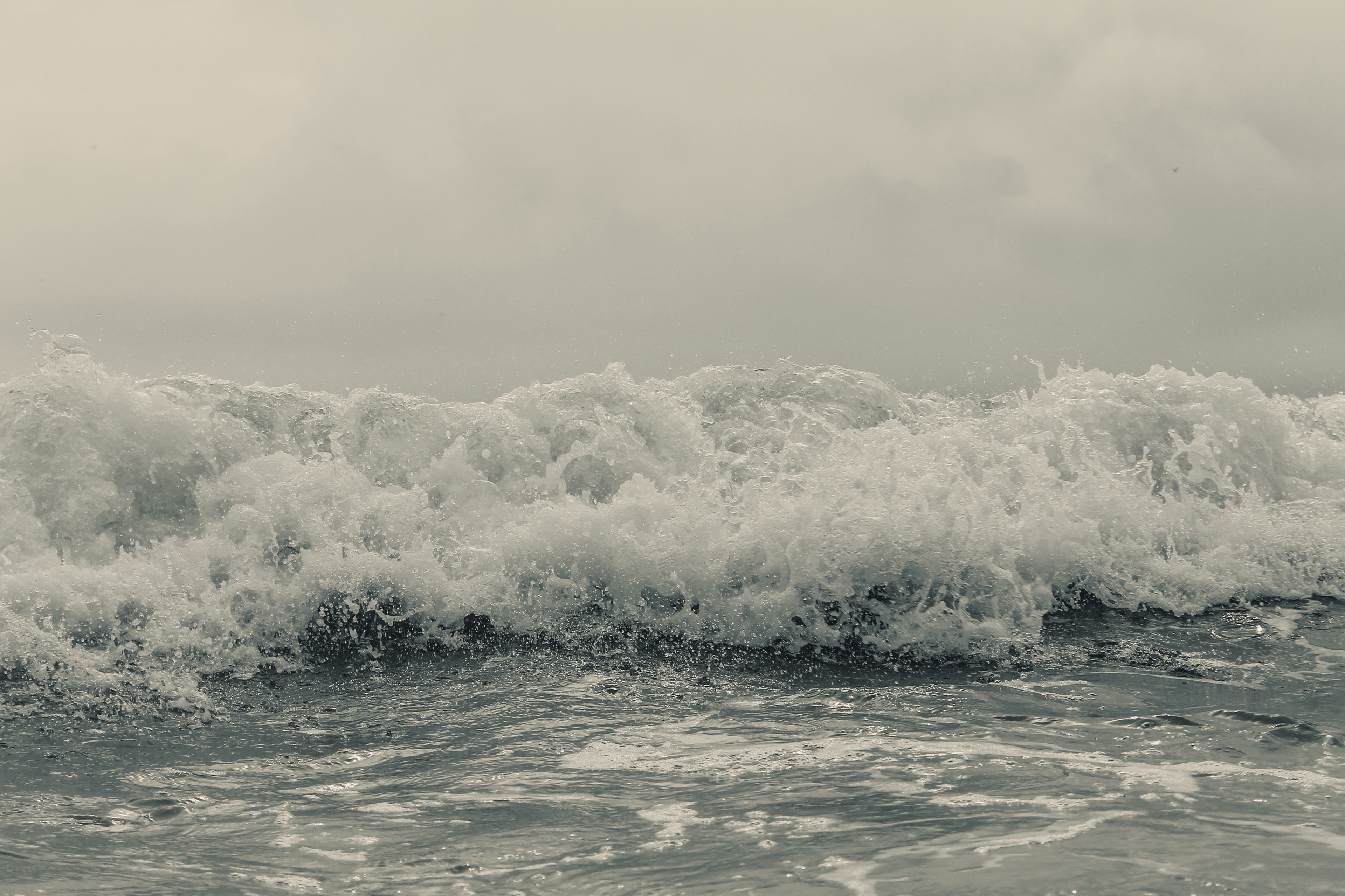 


(Foto: João Nascimento/ Unsplash)                                                                                                                                        