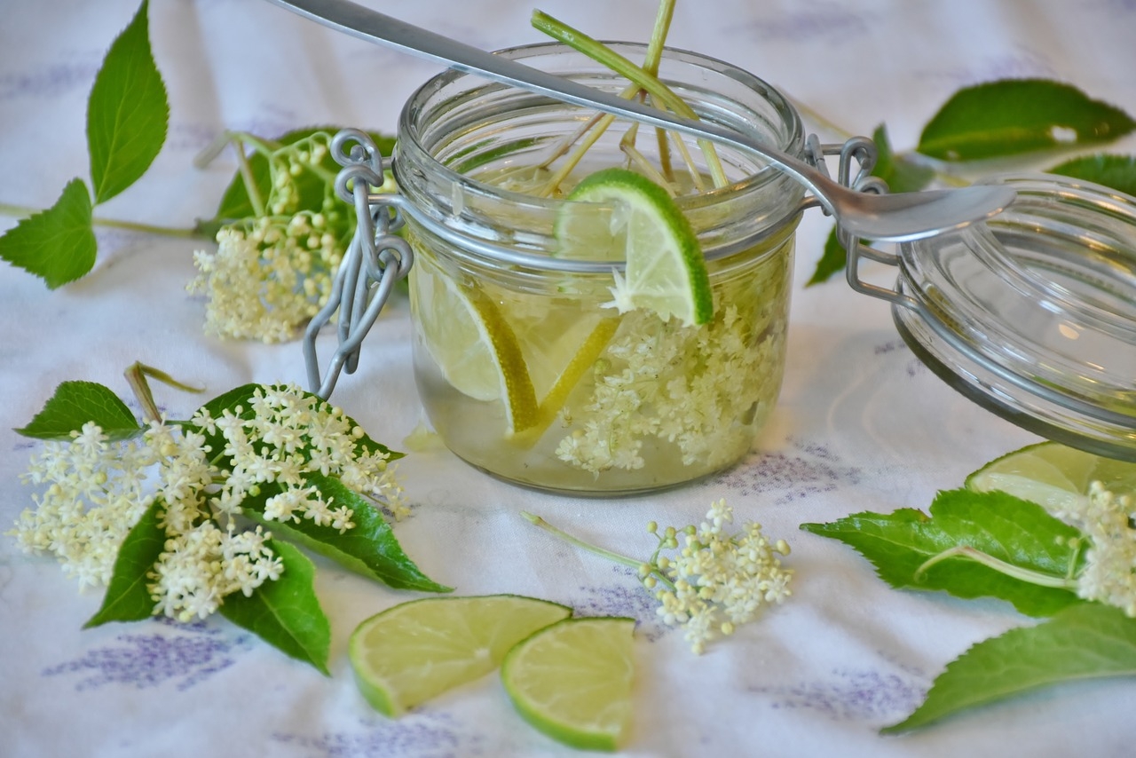 På fläderblom kan man både göra saft, sirap och ett vårdande hårskölj. (Foto: Pixabay)