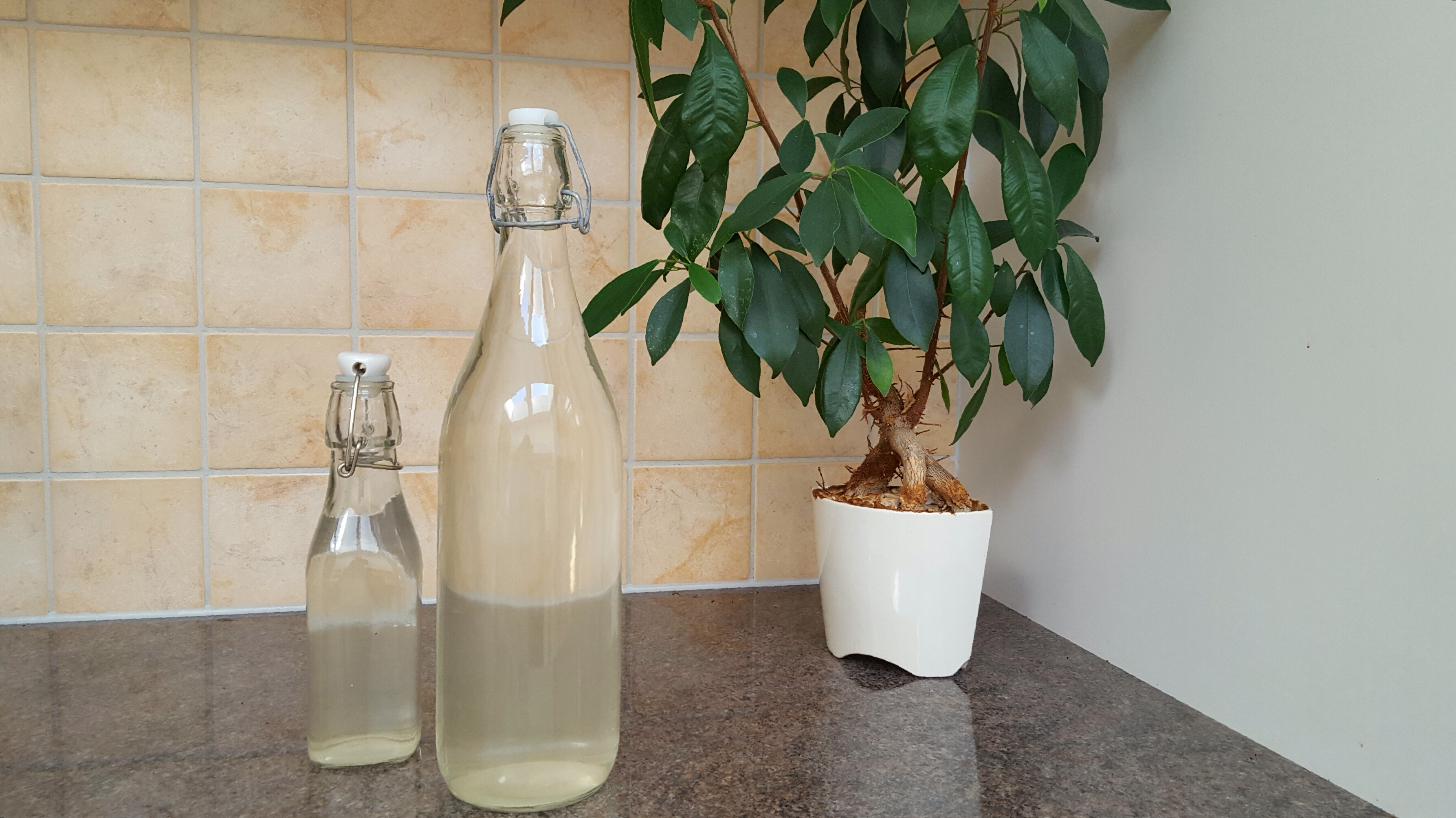 Pastörisera körveldrickan genom att hetta upp den till 70-80 grader innan du häller upp den på flaskor, så håller den längre. (Foto: Andrea Elvhage)