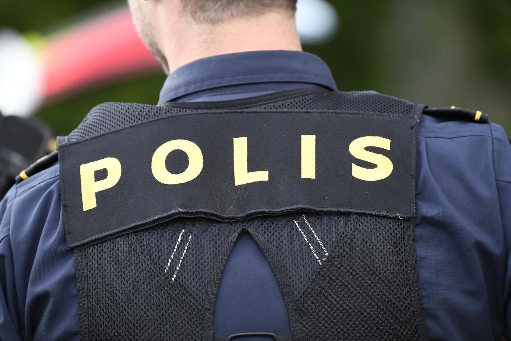 Polismyndigheten behöver mer pengar, säger Polisförbundets ordförande Lena Nitz. Foto: Maja Suslin/TT)