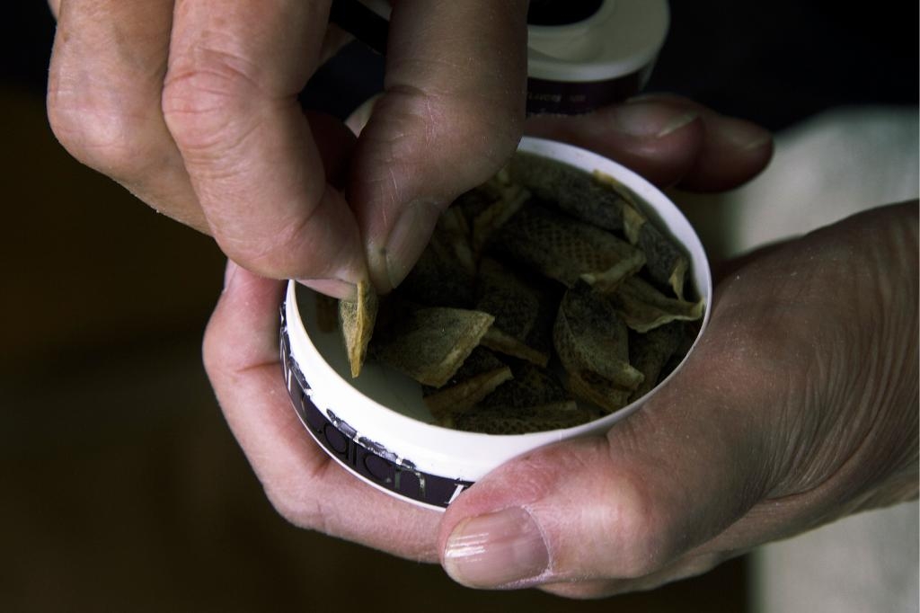 Snus påverkar blodkärlen, visar norsk forskning. (Foto: Hasse Holmberg / TT)
