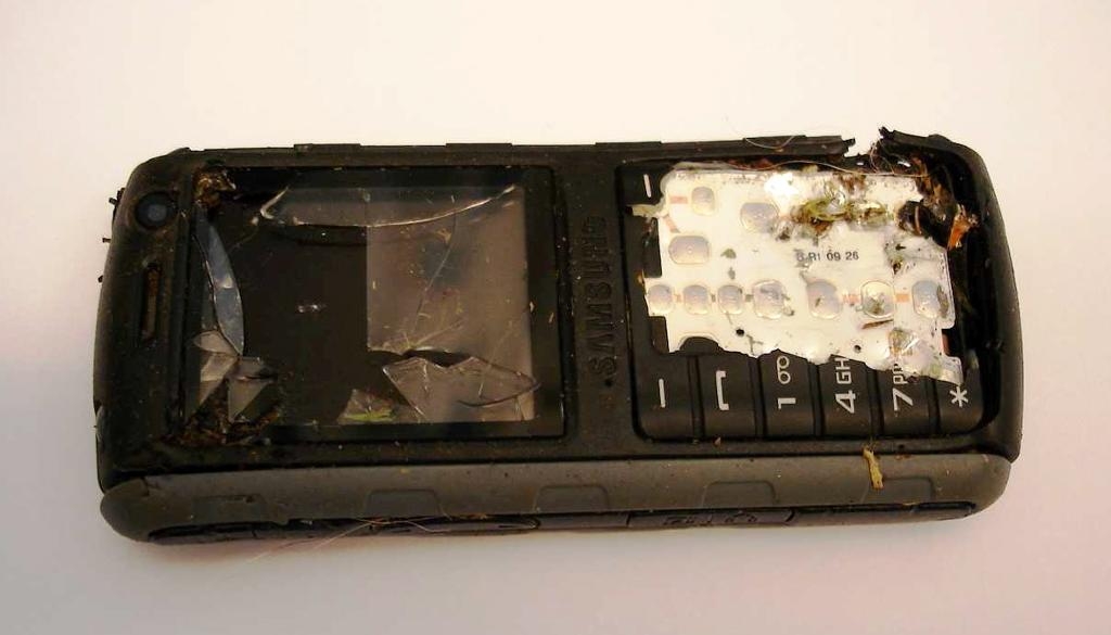 
Tjänstetelefon som skötaren bar med sig när hon attackerades av vargar på Kolmårdens djurpark. (Foto: Polisen/TT-arkivbild)