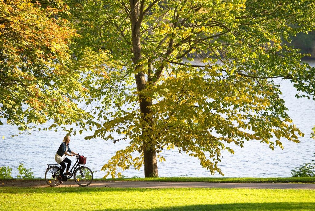 
Solig och varm dag under hösten. Brittsommar? Nja, inte riktigt. (Foto: Fredrik Sandberg /TT)