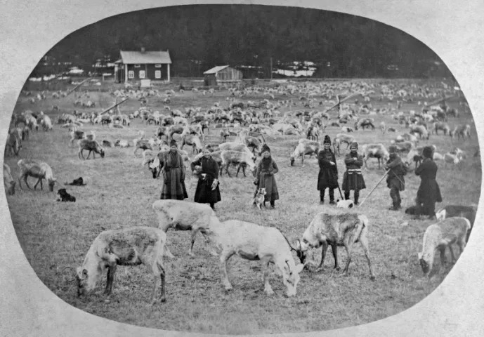 Sydsamer i Åseletrakten. (Foto: Västerbottens museum)