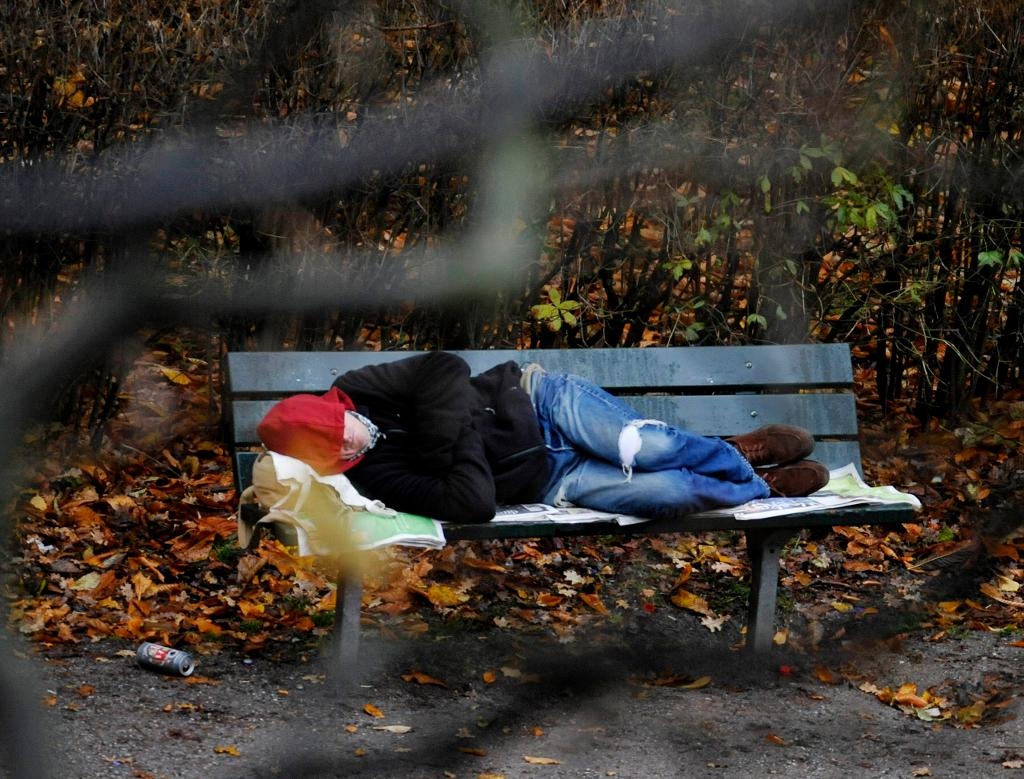 Fler hemlösa i Malmö.  (Foto: Bertil Ericson / TT-arkivbild)