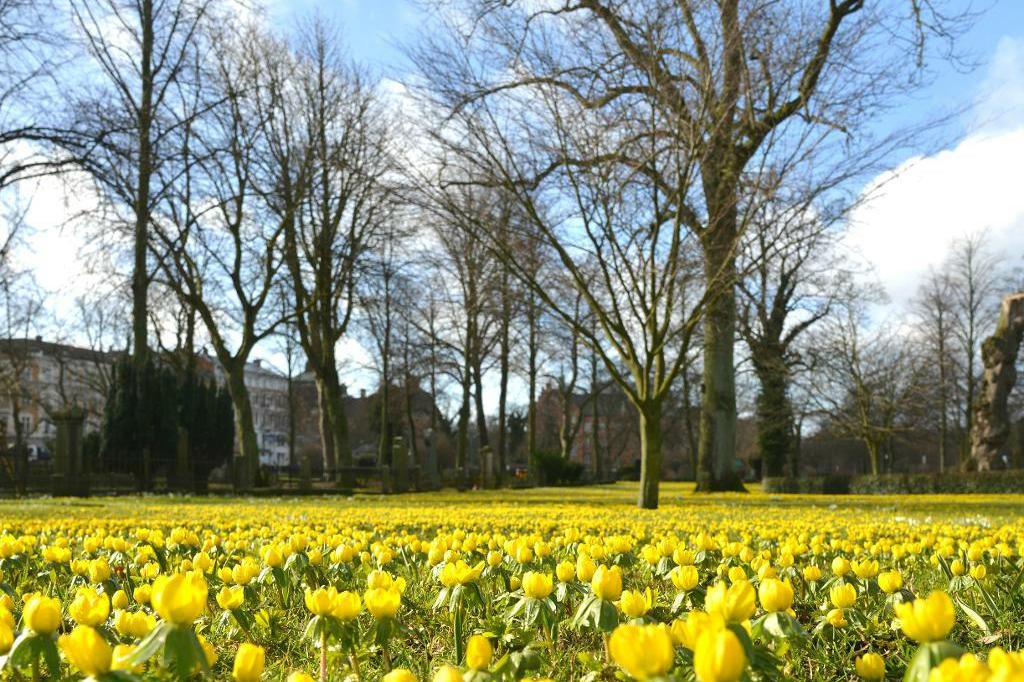 






Vintergäck blommar i Gamla kyrkogården vid Gustav Adolfs torg i centrala Malmö. Den meteorologiska våren är här i stora delar av södra Sverige.  Foto: John Alexander Sahlin/TT                                                                                                                                                                                                                                                                                                                    
