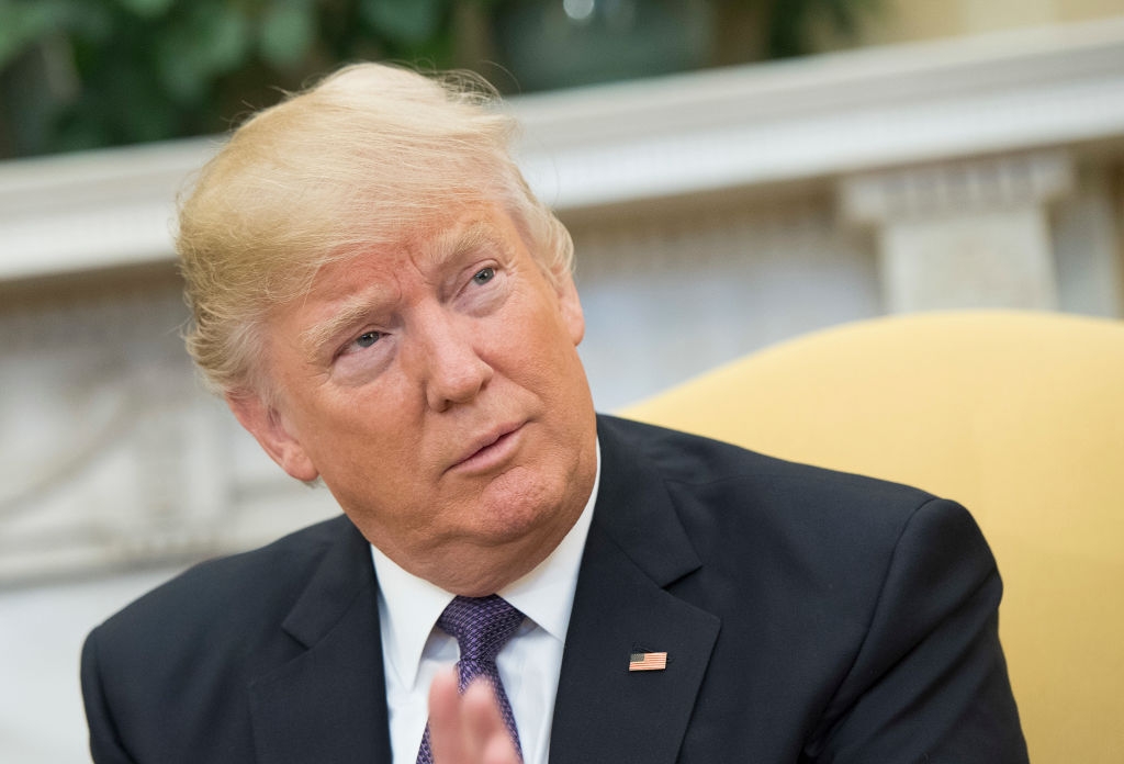 President Donald Trump har två vägar att gå i frågan om det 90-dagar långa inresestoppet för besökare från vissa länder. Bilden från Trumps möte med Kanadas premiärminister  Justin Trudeau i Vita Huset den 13 februari.  Foto: Kevin Dietsch-Pool/Getty Images) 