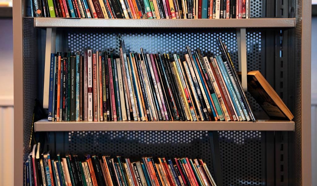 
Sveriges bibliotek ska betala ut mer pengar till upphovsmännen. Arkivbild. Foto: Pontus Lundahl/TT                                            