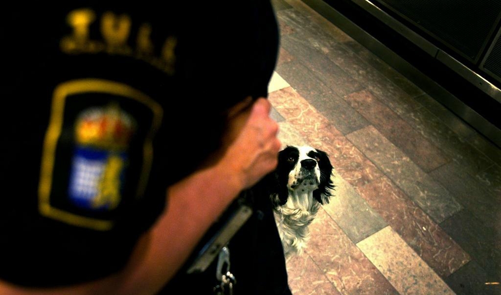 
Två av tullens hundar nosade i januari upp en knarkgömma i mångmiljonklassen i en bil. Två män åtalas nu vid Karlstads tingsrätt. Foto: Patrick Sörquist-arkivbild                                            