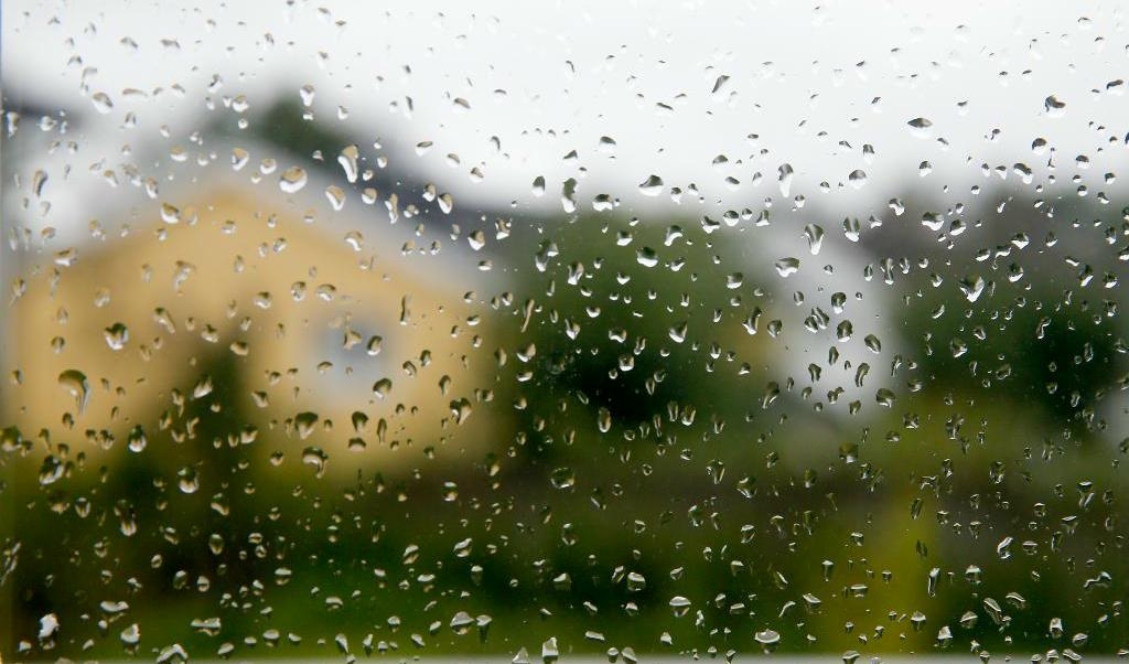 
Även om det blir en regnig sommar förblir grundvattnet lågt, förutspår hydrologer. Arkivbild. Foto: Terje Pedersen Scanpix/TT                                            