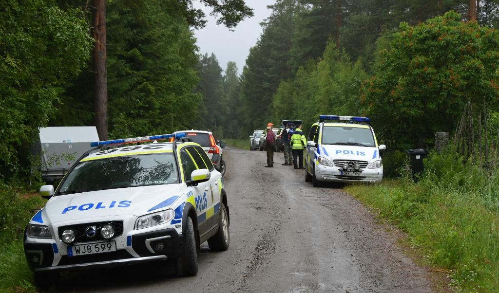 
Den sexåriga flicka som försvann i Blacksås naturreservat i Hudiksvalls kommun under söndagen har hittats välbehållen. Foto: TT                                            